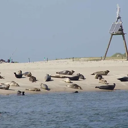 Our Captain's House Neßmersiel