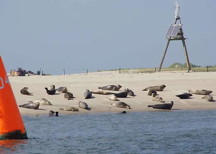 Tatil Evi Our Captain's House *